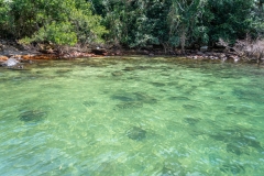 Ilha Grande