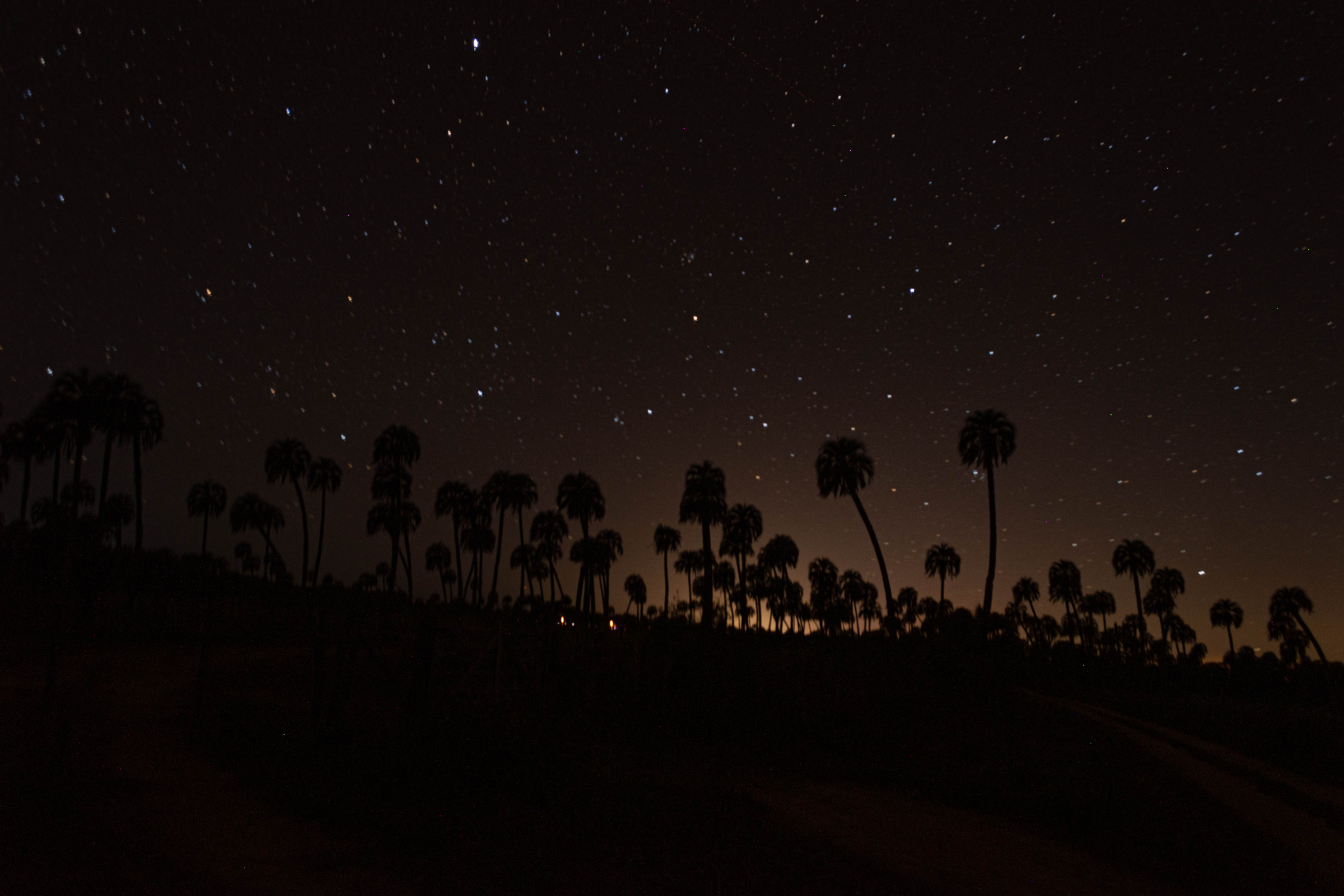 El Palmar Nationaal Park, Argentinië