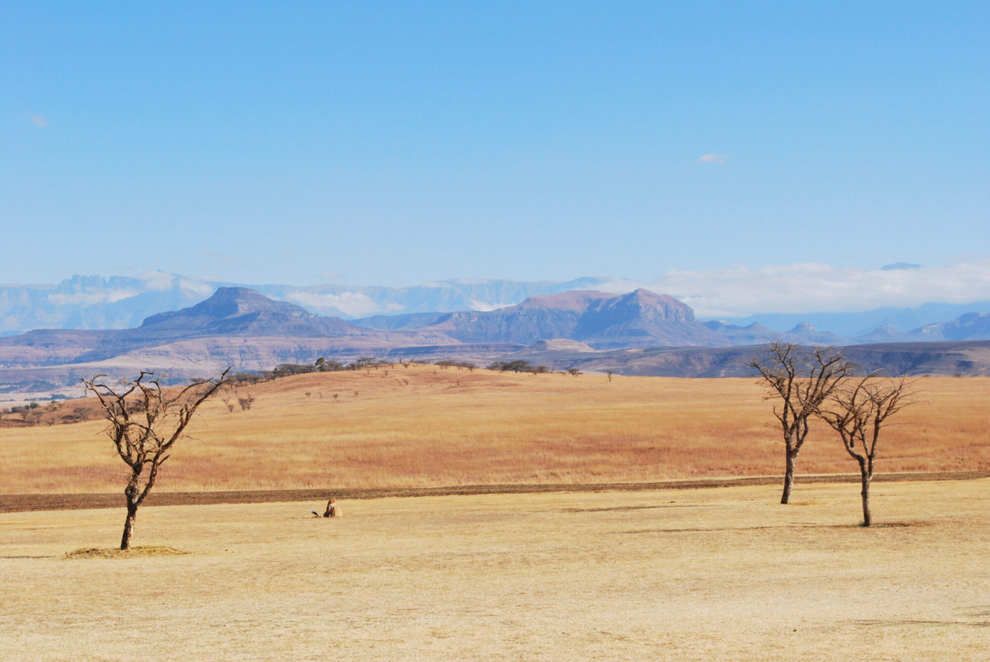 Uitzicht op de Drakensbergen vanaf onze lodge, Zuid-Afrika