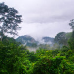 Afi Mountain, Nigeria
