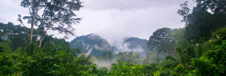 Afi Mountain, Nigeria