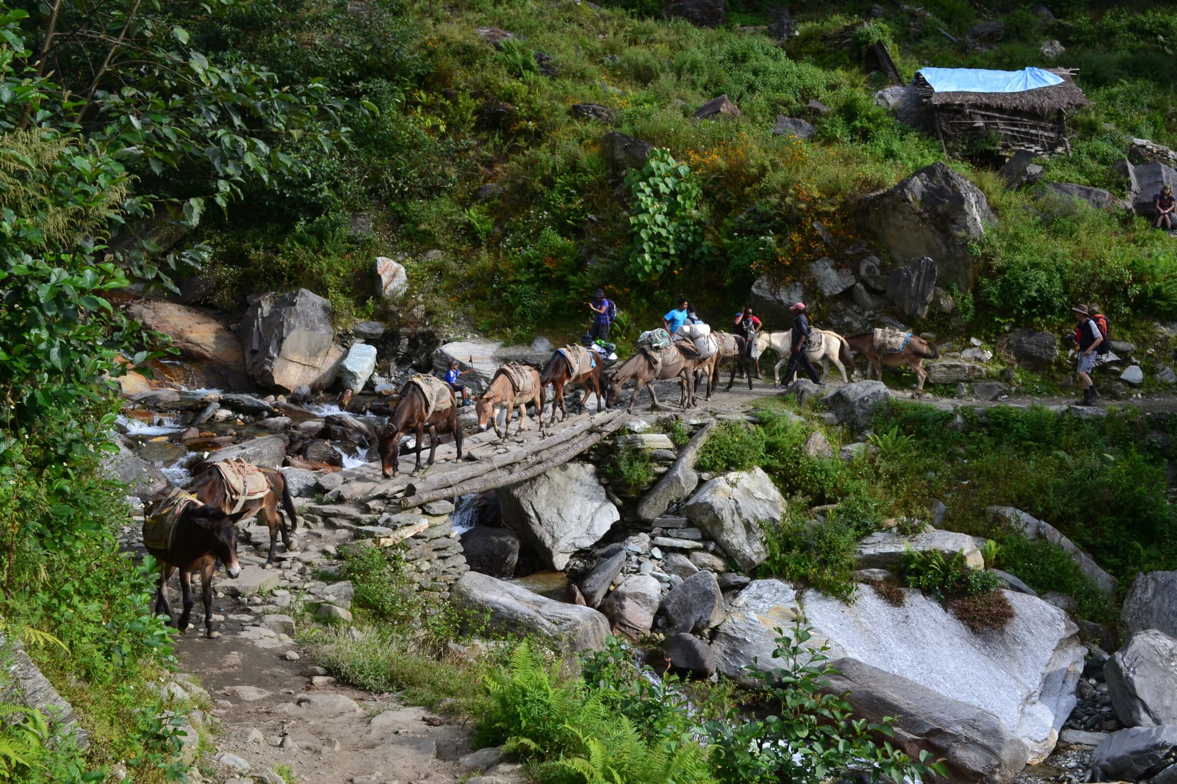 Transportezels, Poon Hill trek, Nepal