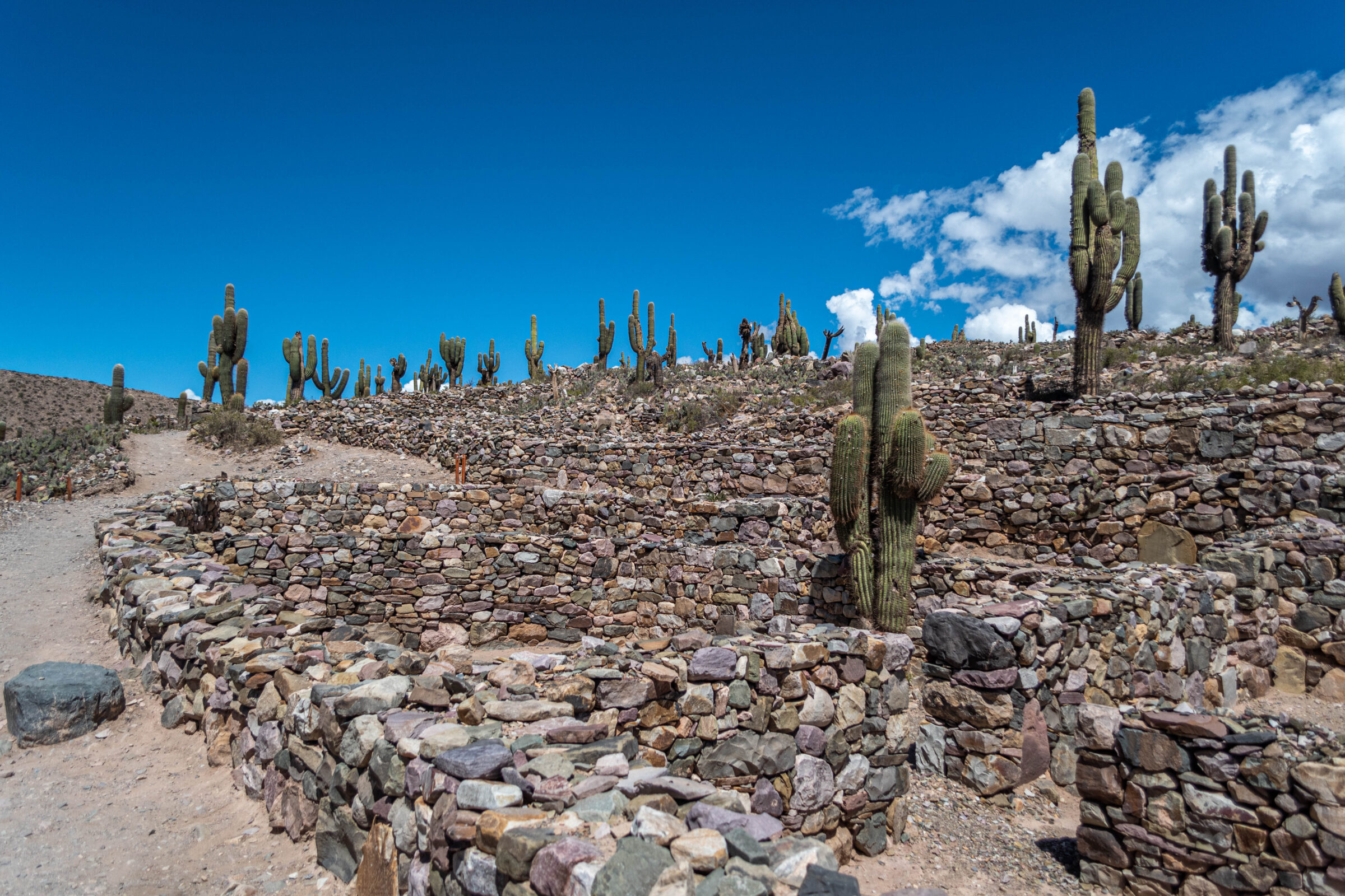 Pucará de Tilcara, Argentinië