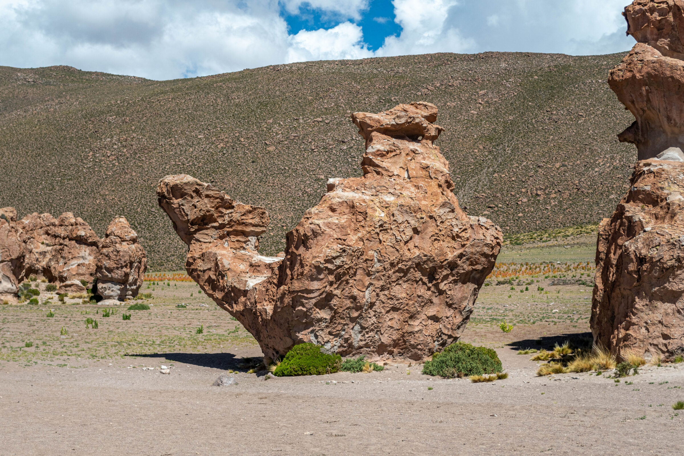 El Camello, Valle de Rocas, Bolivia