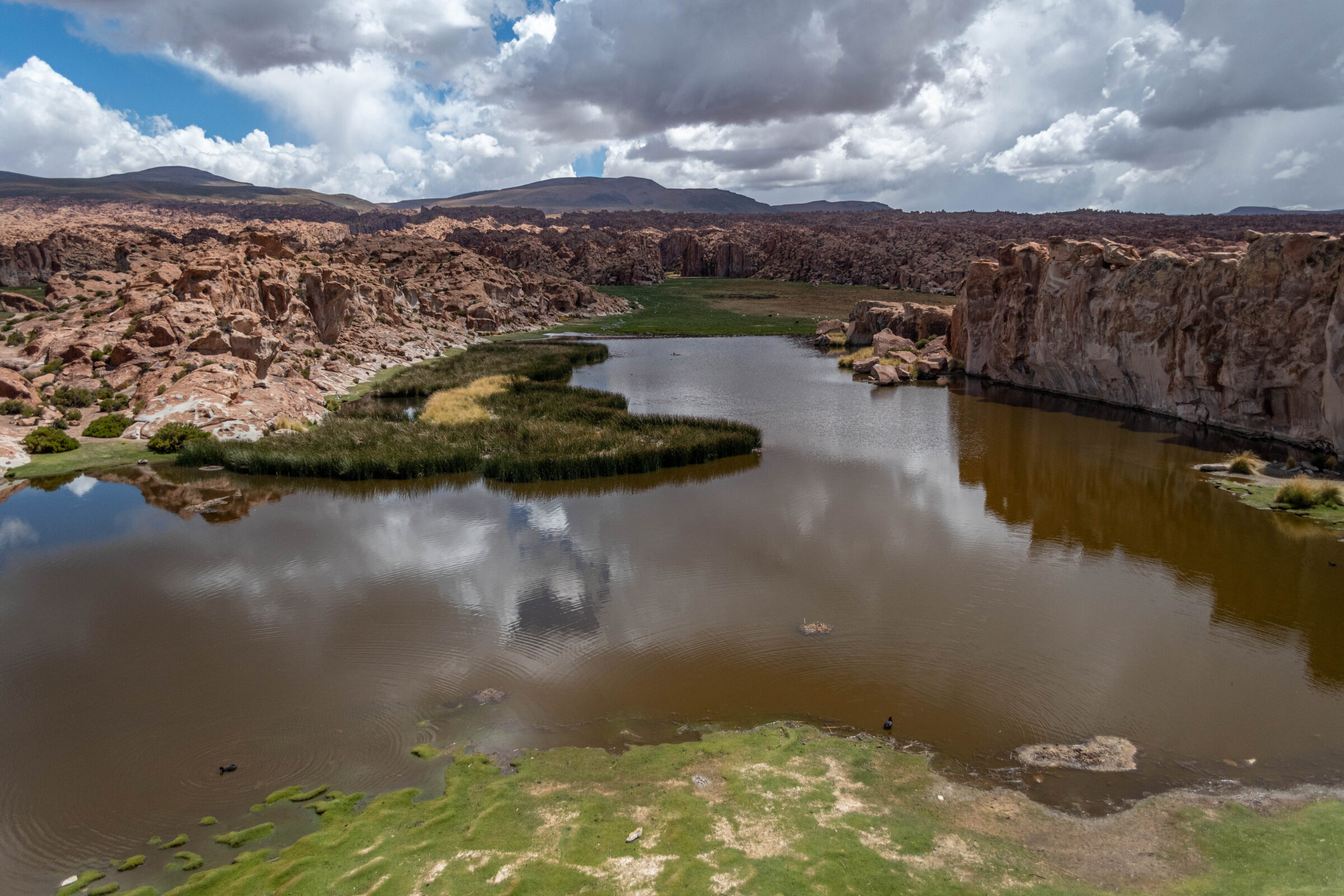 Laguna Negra, Bolivia