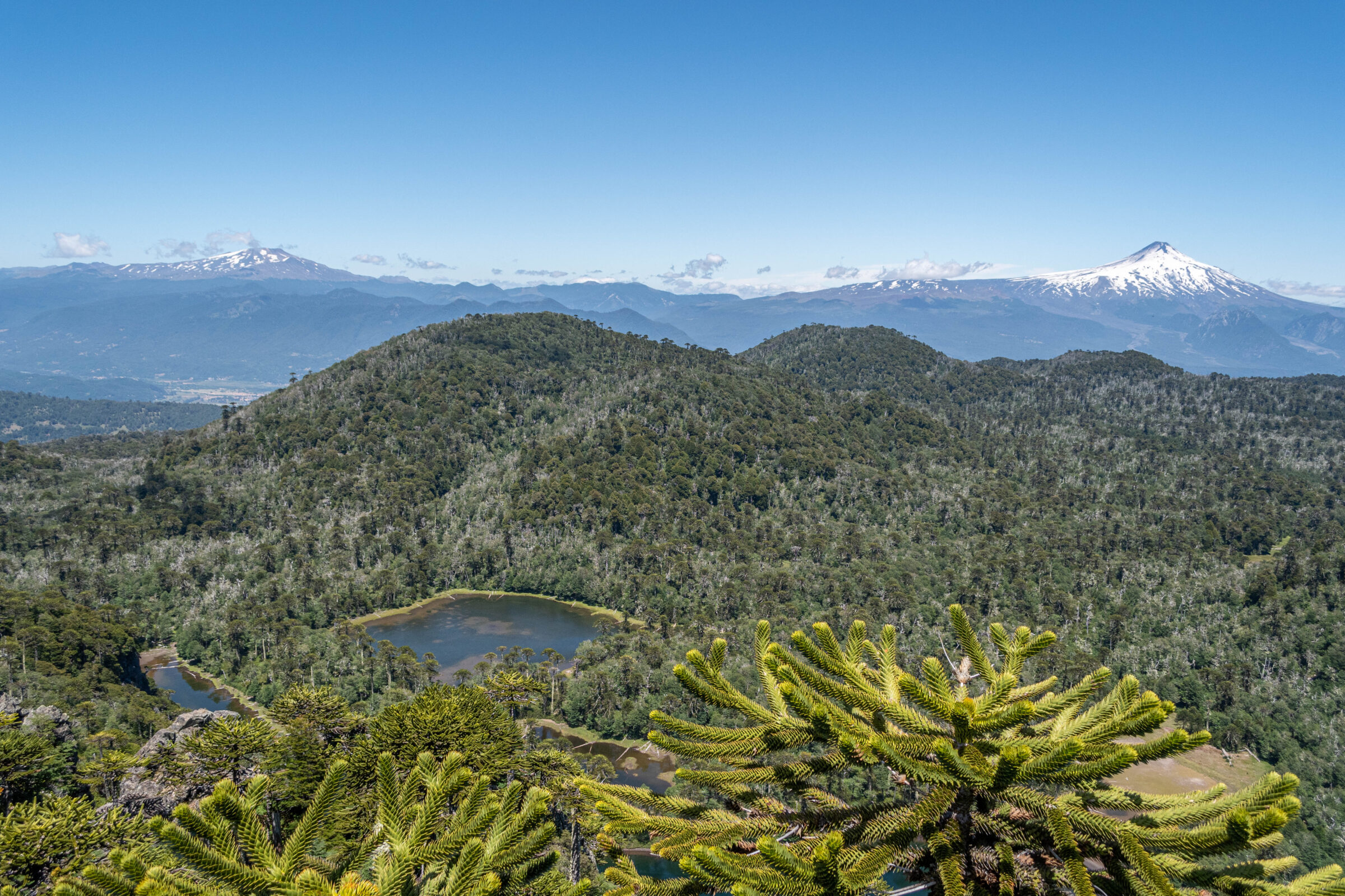 Uitzicht tijdens de El Cañi hike, Pucón, Chili