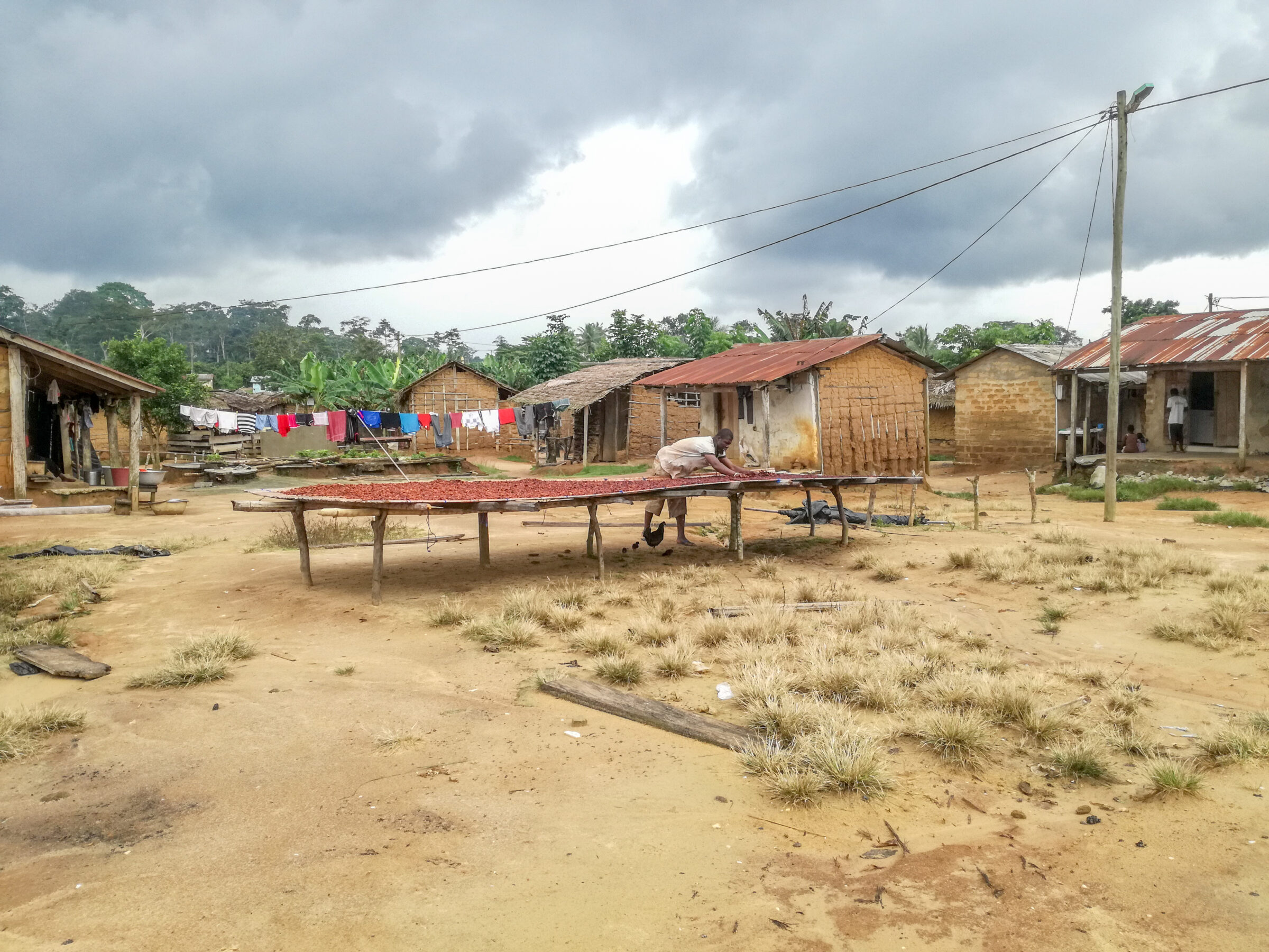 Lokale dorpsgemeenschap, Ankasa region, Ghana