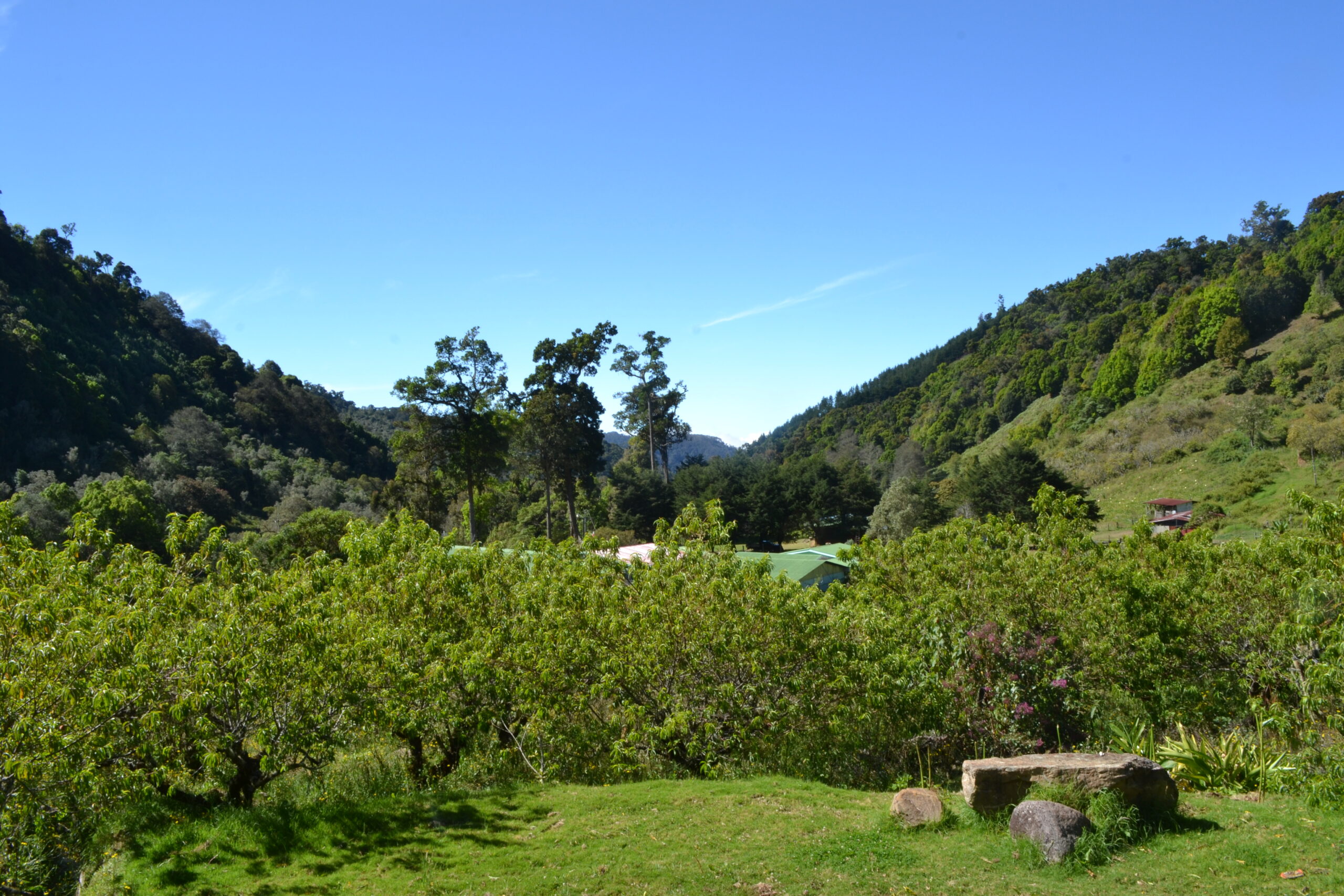 San Gerardo de Dota, Costa Rica