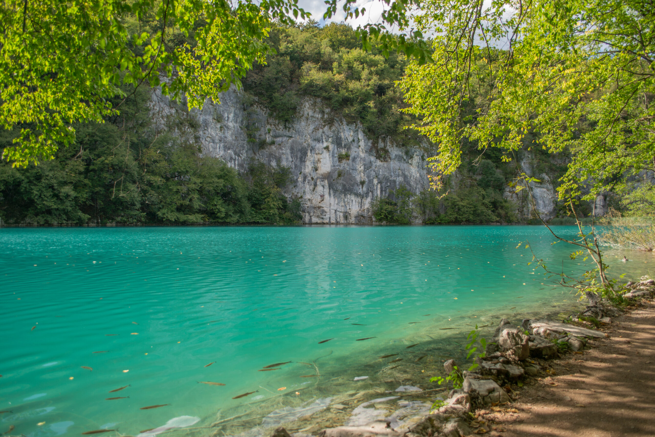Het bekende turquoise water in Nationaal Park Plitvicemeren, Kroatië
