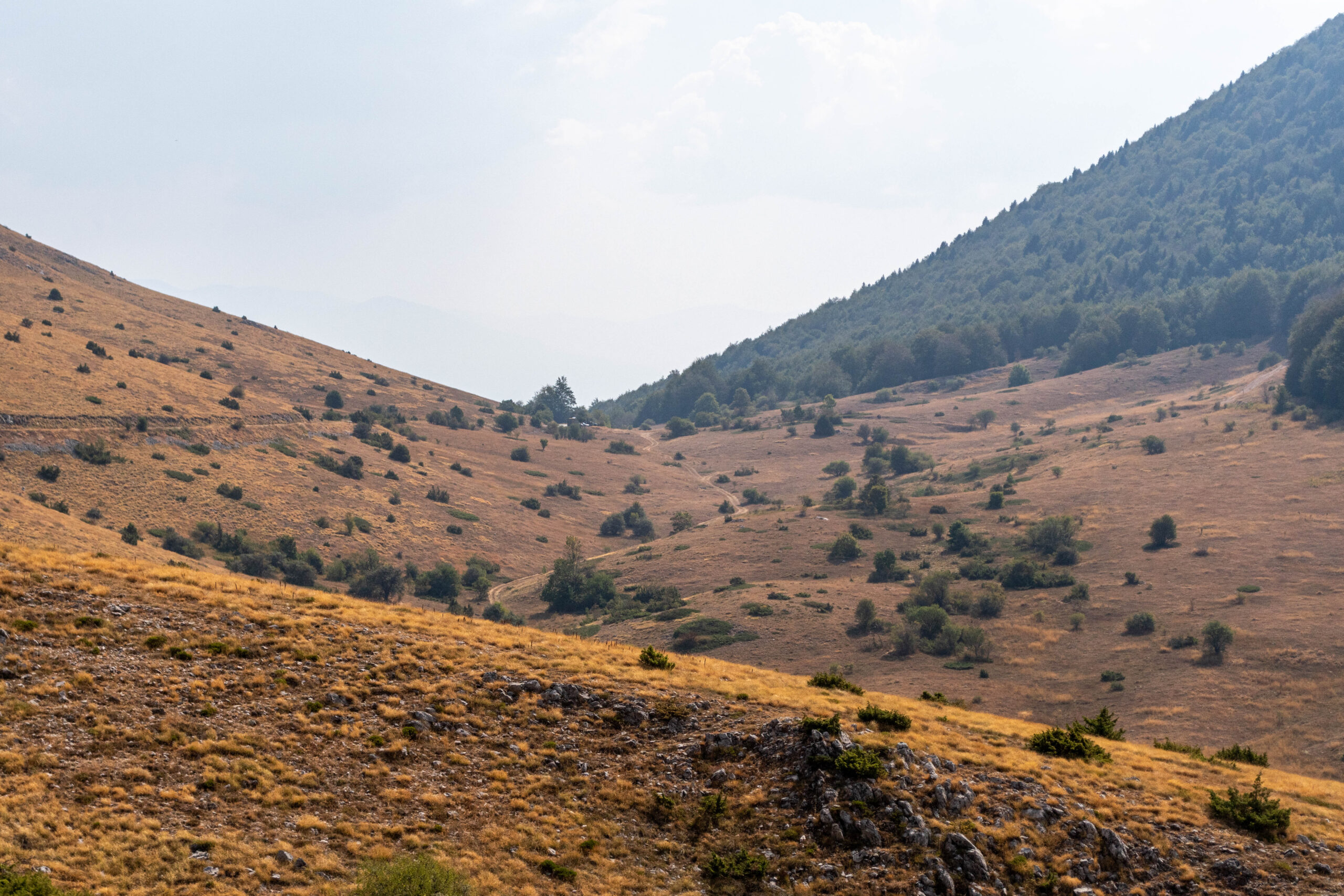 Nationaal Park Galičica, Noord-Macedonië