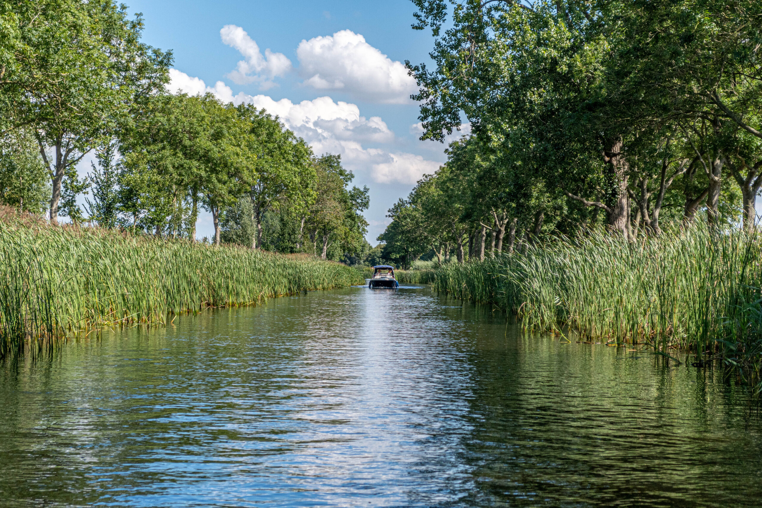 Nationaal Park Weerribben-Wieden, Nederland