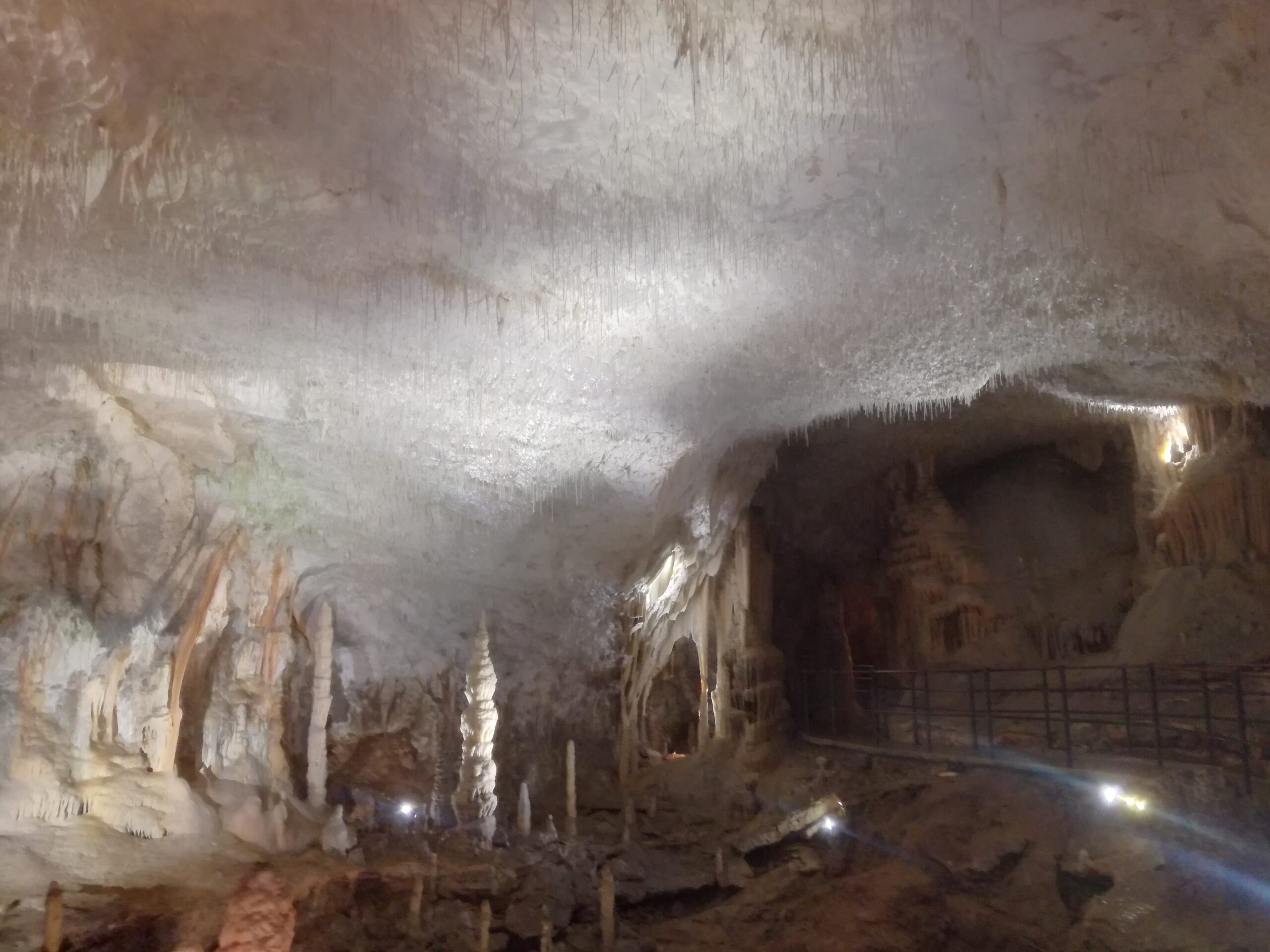 Grotten van Postojna, Slovenië