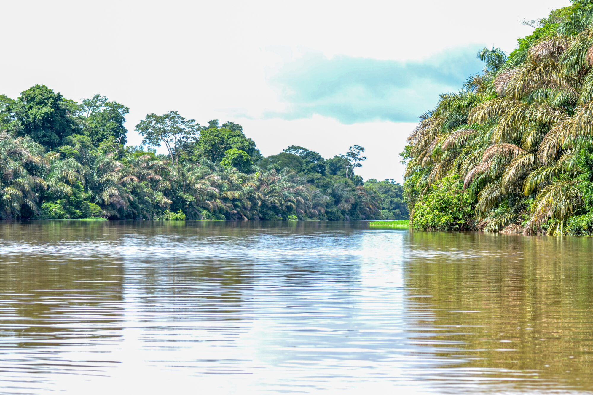 Tortuguero National Park, Costa Rica