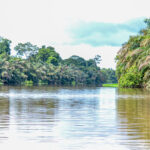 Tortuguero National Park: waar jungle, kanalen en wildlife samenkomen Tortuguero National Park, Costa Rica
