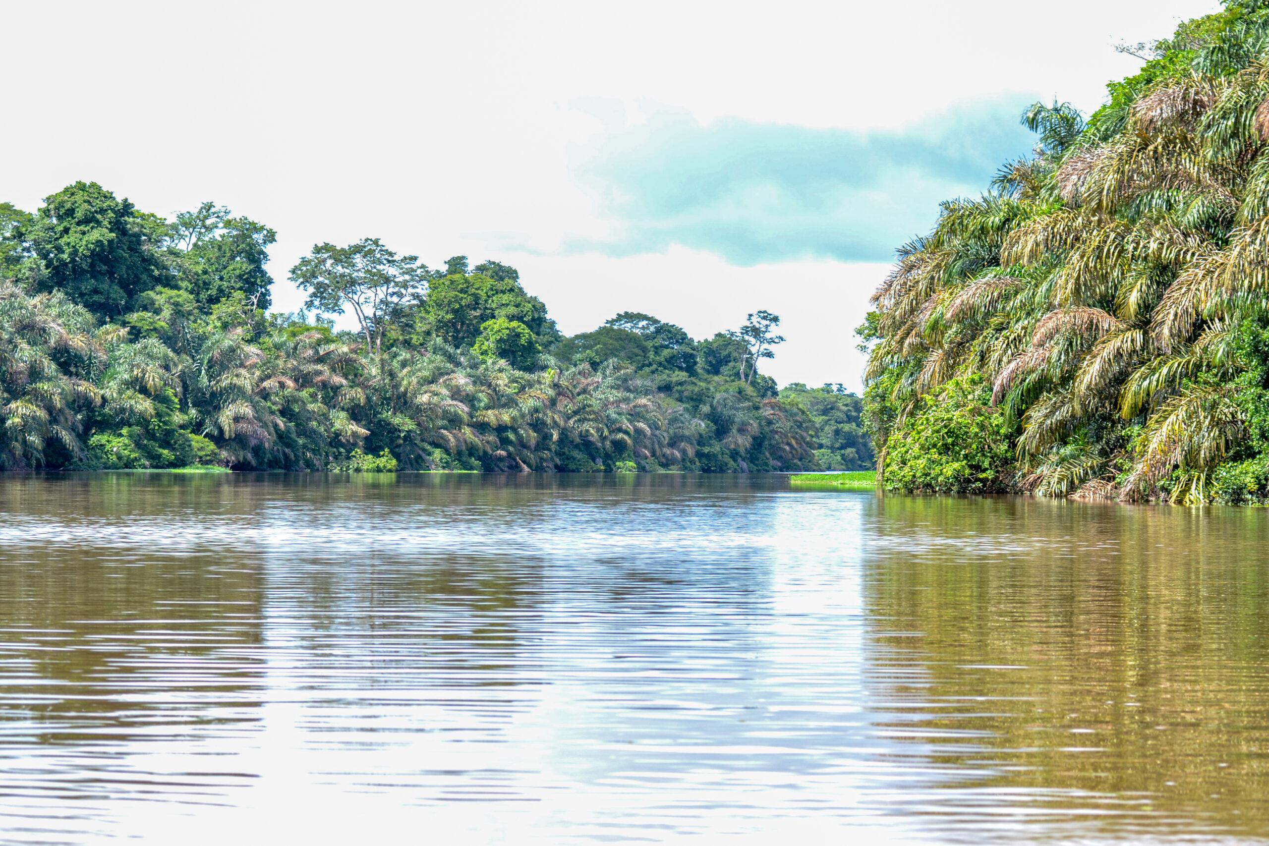 Tortuguero National Park, Costa Rica