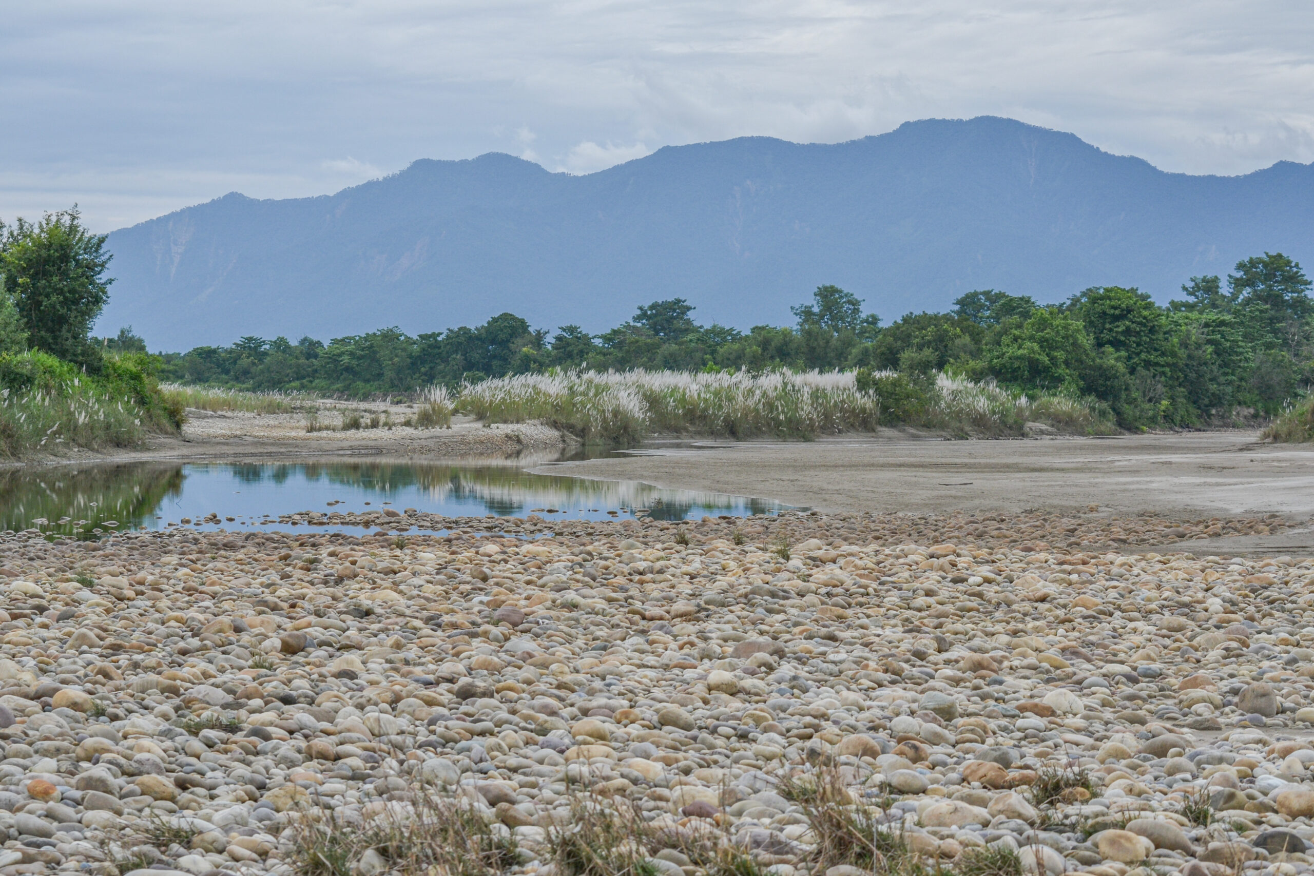 Bardiya National Park, Nepal