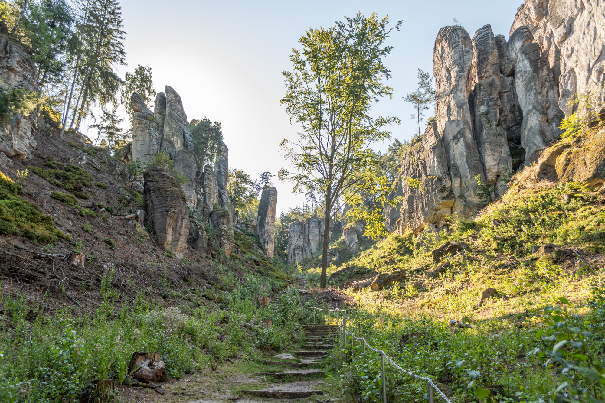 Prachovské Skály, Boheems Paradijs, Tsjechië