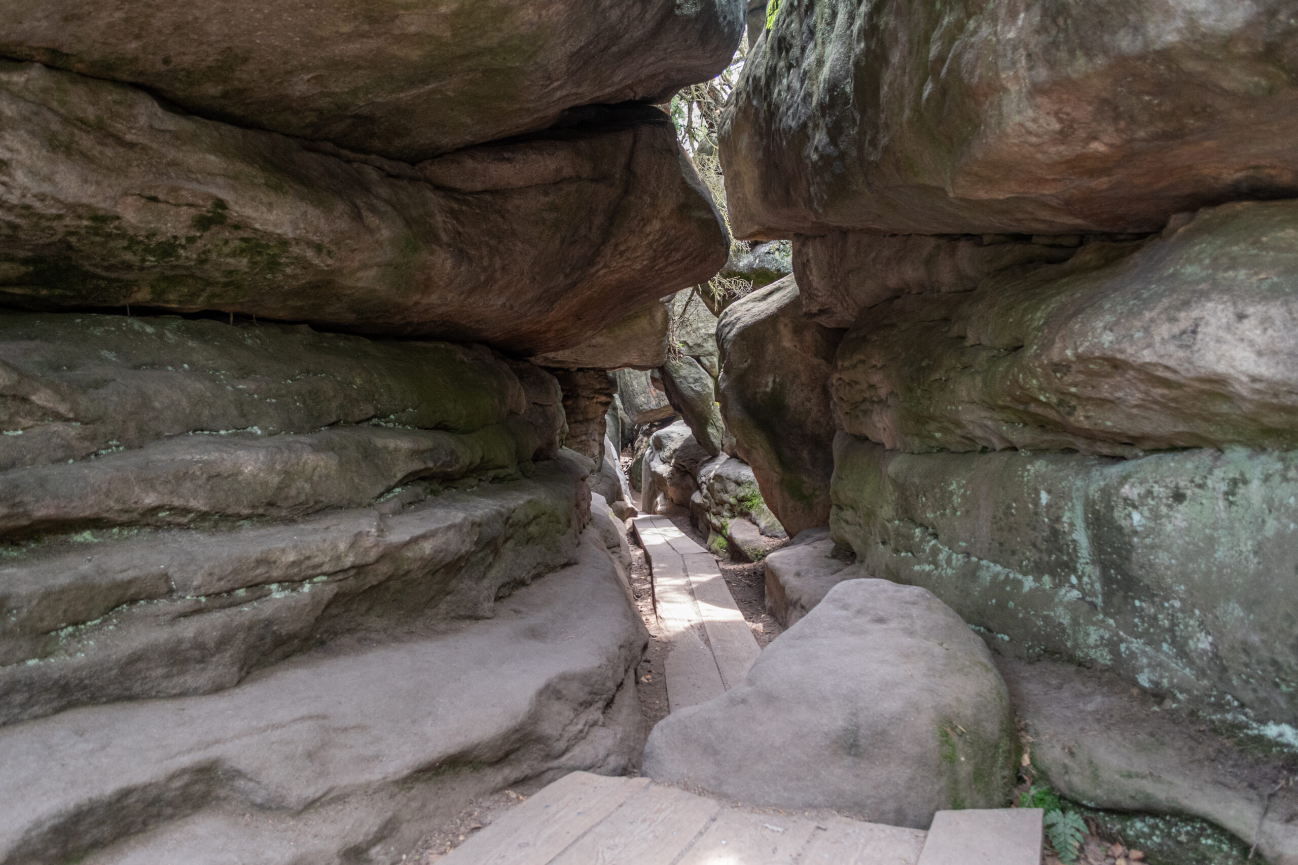 Błędne Skały, Nationaal Park Gór Stołowych, Polen